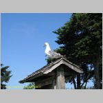 20060826_26Ventura_001 copia.jpg